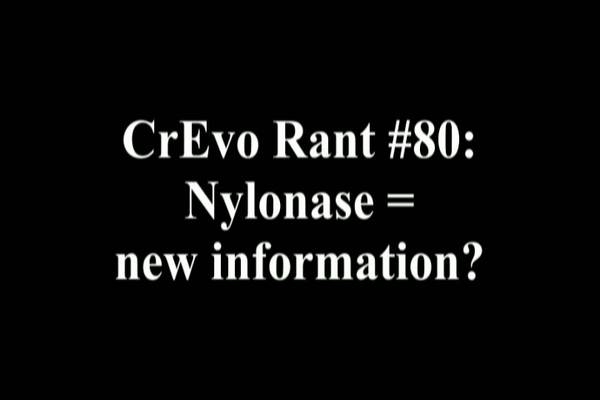 Product picture Nylonase - CrEvo Rant #80 Ipod v.